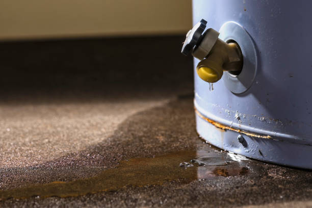 Best Professional water damage repair  in Sandusky, OH