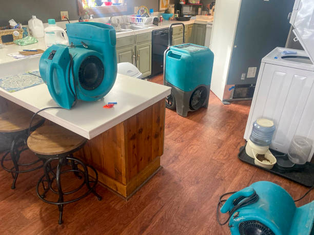 Best Basement water damage restoration  in Sandusky, OH