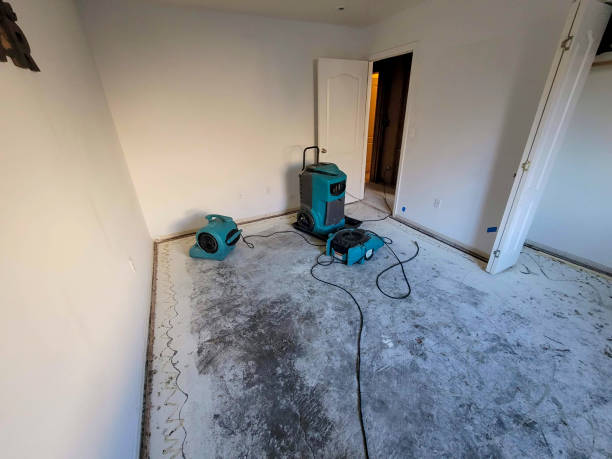 Best Carpet water damage restoration  in Sandusky, OH