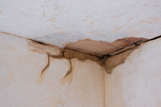 Best 24/7 water damage repair  in Sandusky, OH