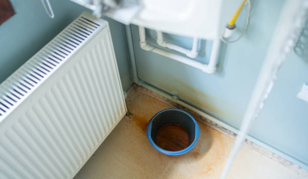 Best Carpet water damage restoration  in Sandusky, OH