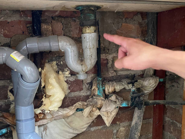 Best Commercial water damage restoration  in Sandusky, OH